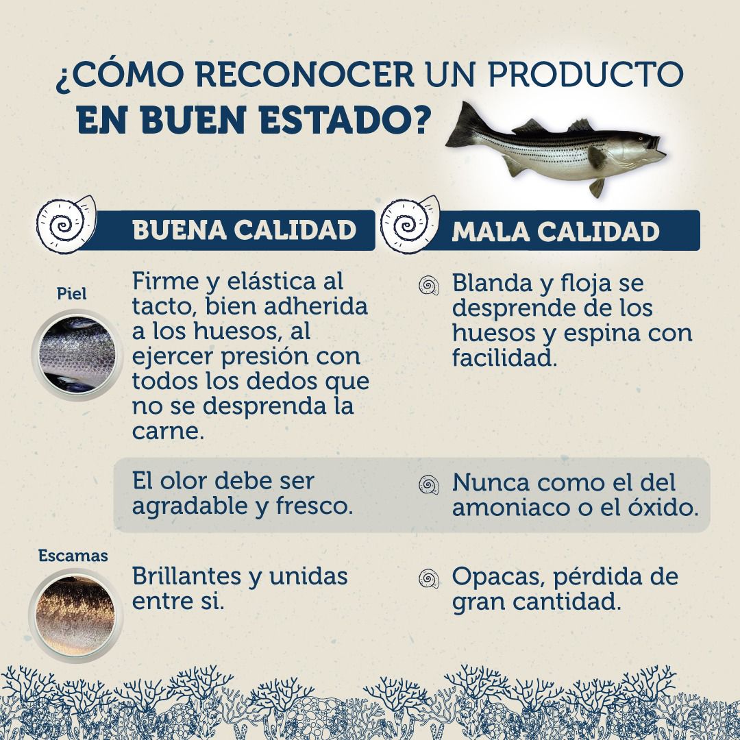 Recomendaciones a la hora de comprar pescados en Bogotá
