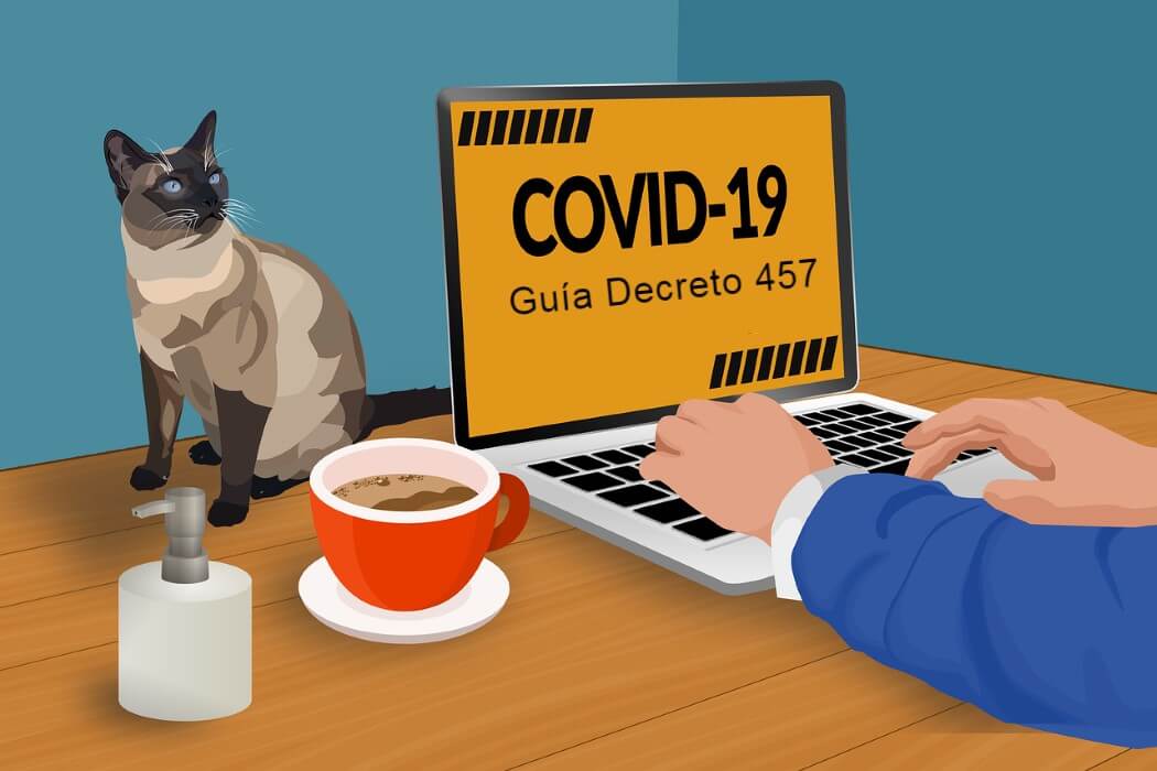 Ilustración de una persona buscando en su computador el Decreto 457