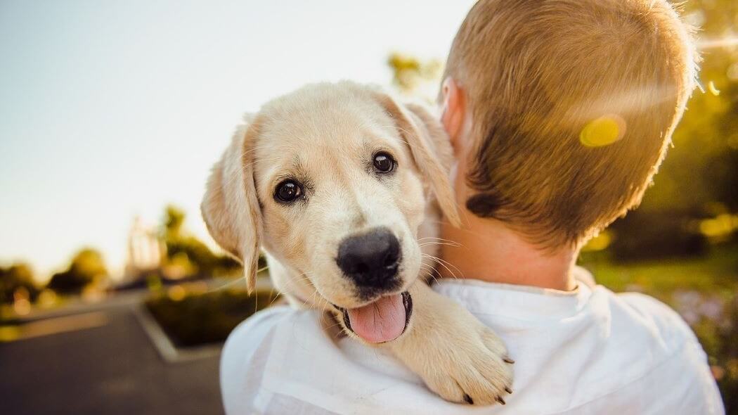 Imagen de una persona con su perro.