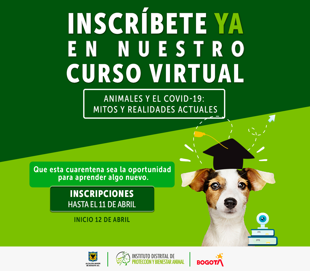 Imagen de IDPYBA. Curso virtual "Animales y el Covid-19: Mitos y Realidades"