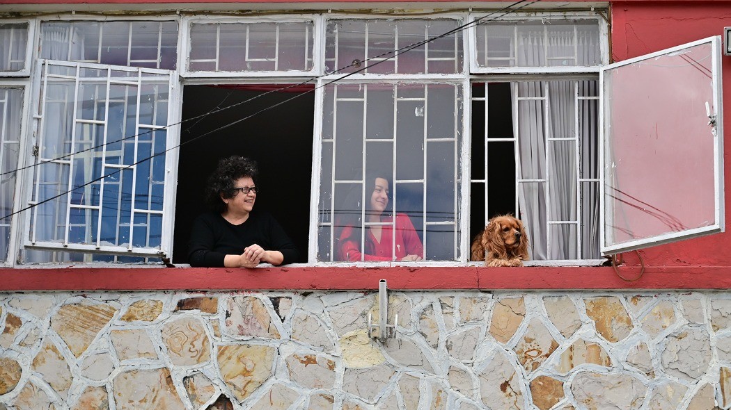 Personas en una ventana con su perro.