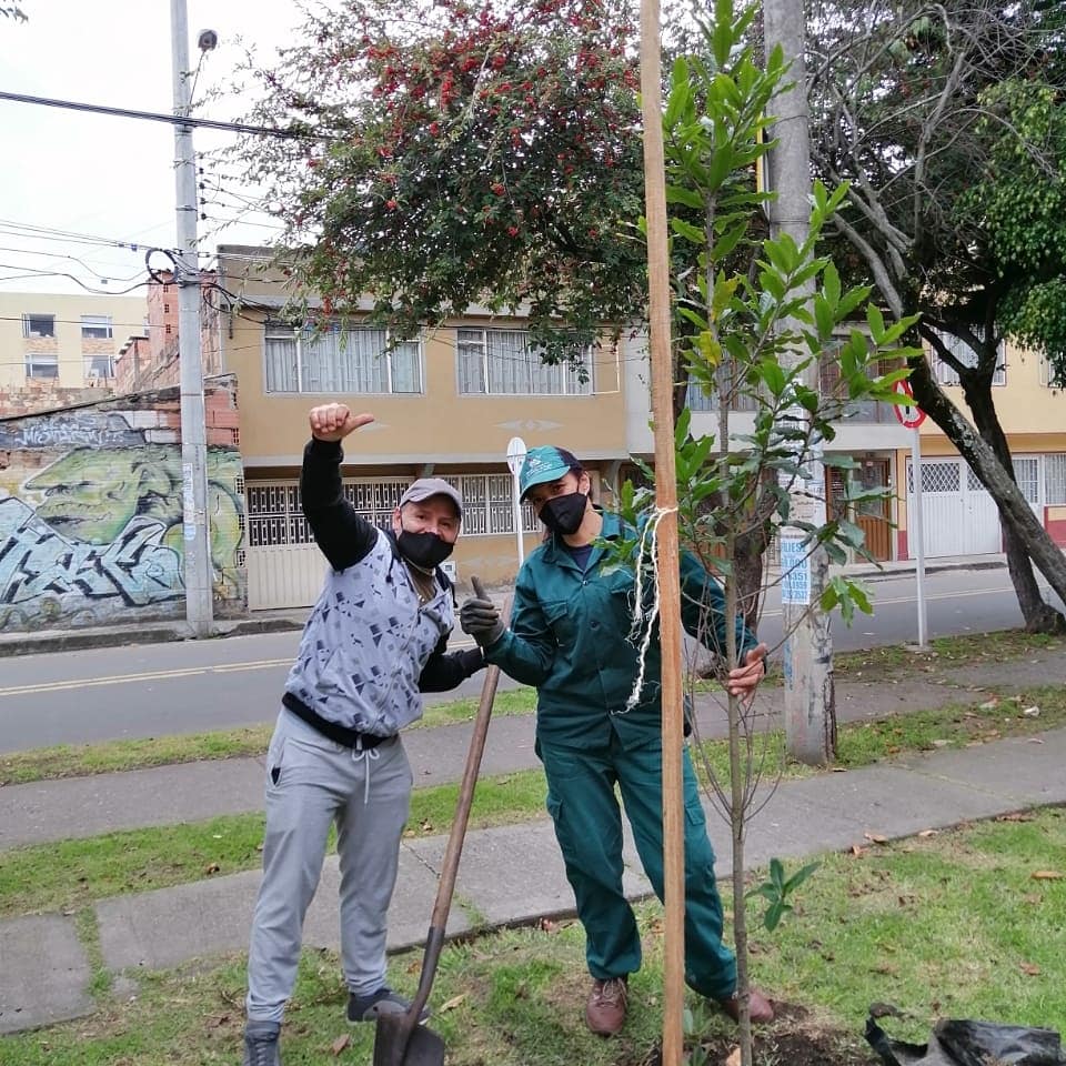 Imagen de ciudadanos plantando los árboles. 