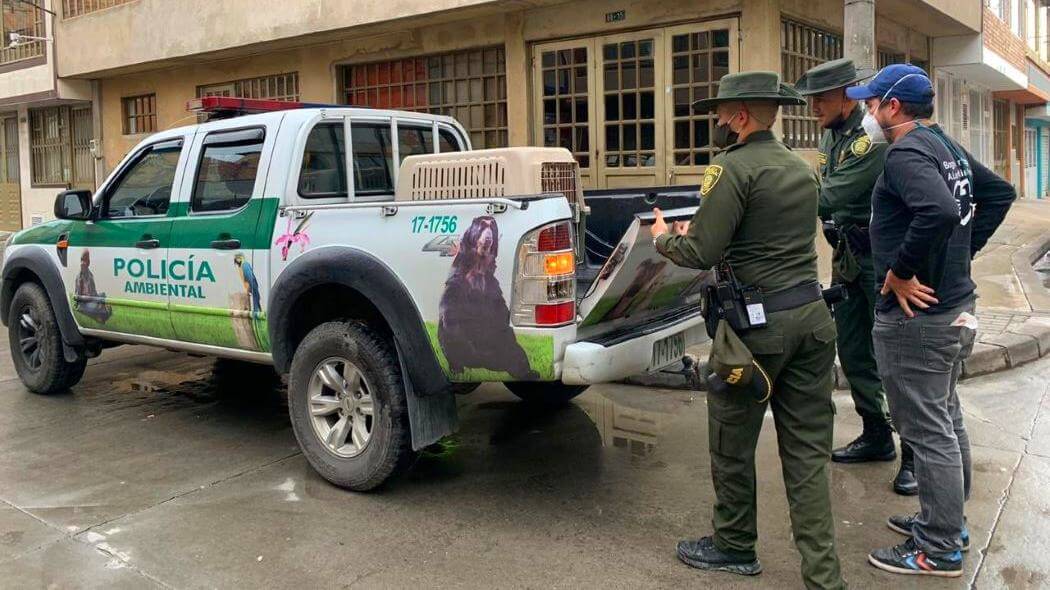 Imagen de la Policía Ambiental trasladando a un animal.