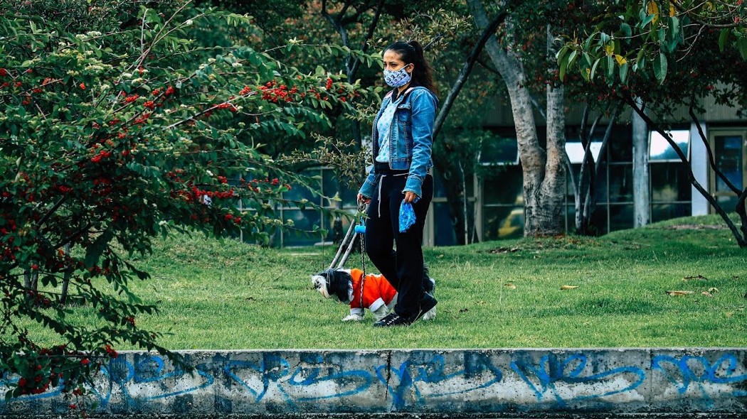 Persona paseando un perro en un parque.