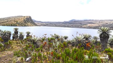 Imagen del Páramo de Sumapaz