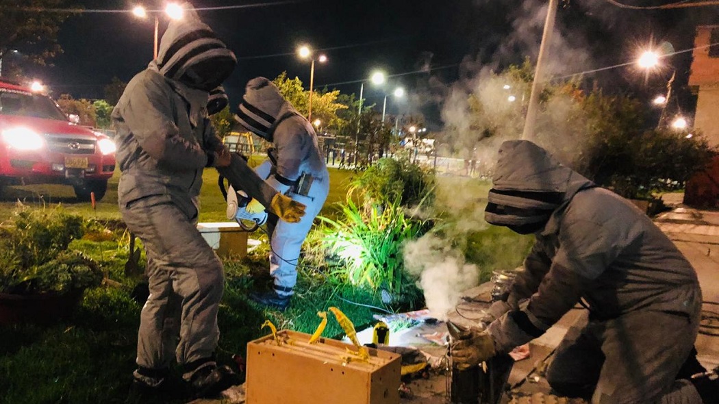 Bomberos atienden a diario entre 5 y 10 emergencias por abejas