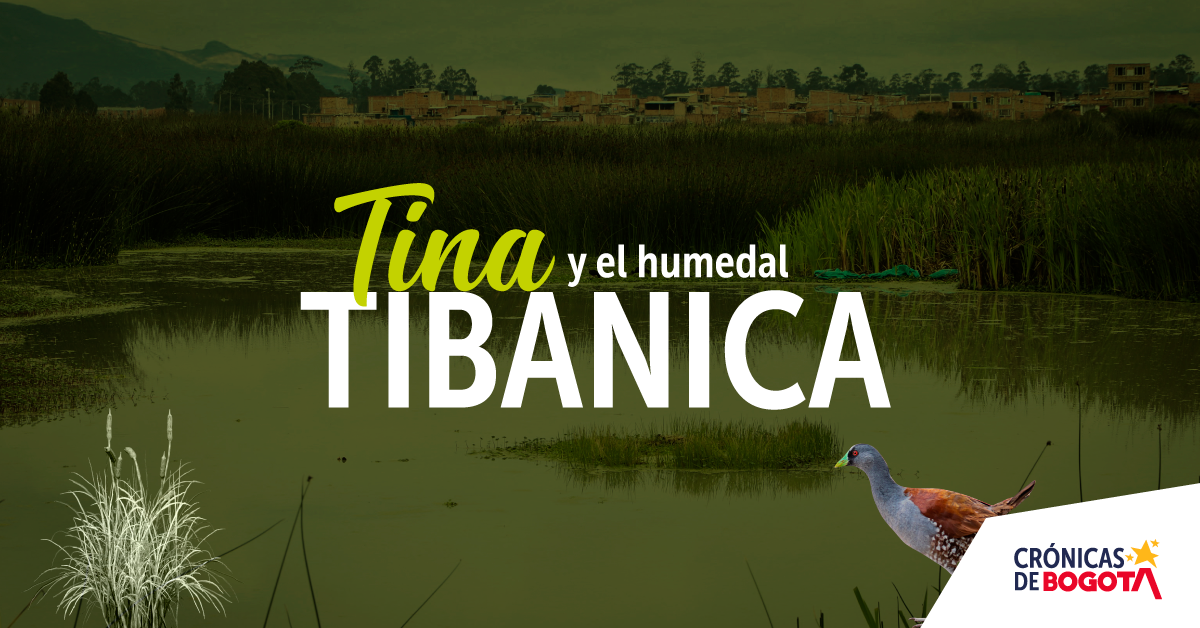 Imagen de Tina y el humedal Tibanica.