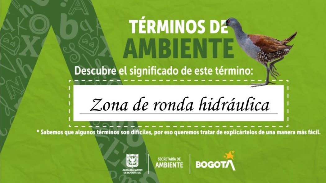 Imagen de Secretaría de Ambiente.