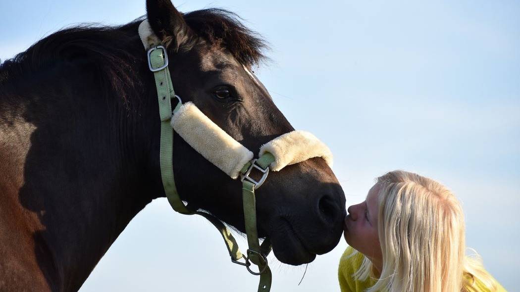 Imagen de una mujer en compañía de un caballo.