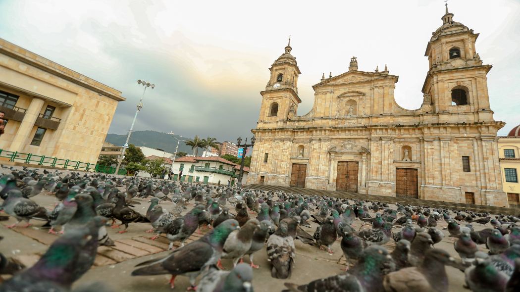 Catedral primada de Bogotá