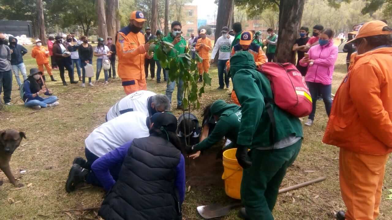 Imagen de la comunidad plantando los árboles.