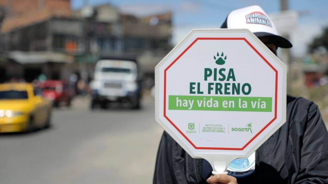 Imagen de la campaña pisa el freno.