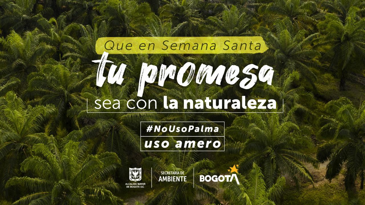 La Secretaría de Ambiente lleva 23 años realizando la campaña de protección de las palmas silvestres y han recuperado más de 6.300 bultos. 