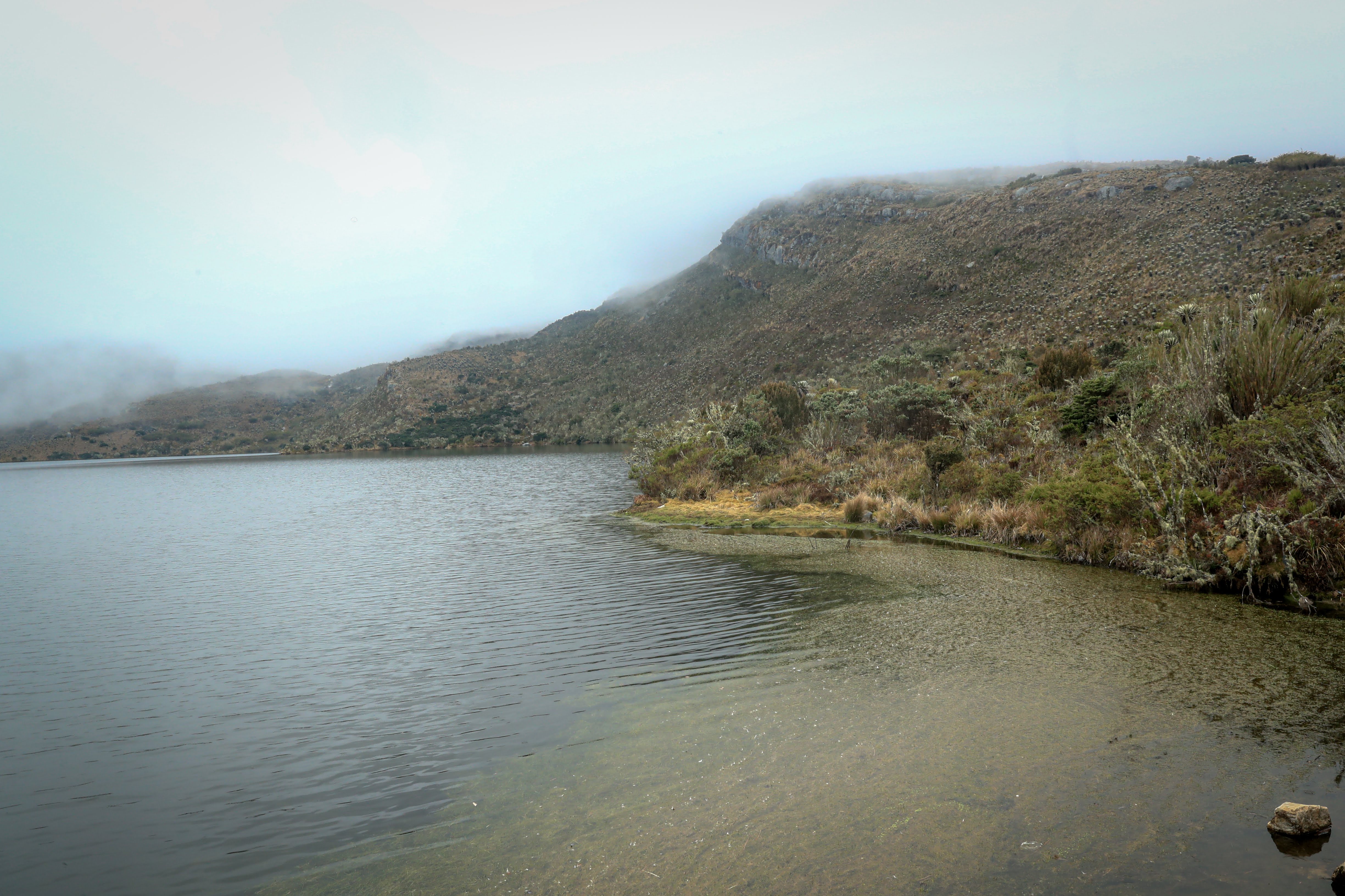 Paisaje del Páramo de Sumapaz 