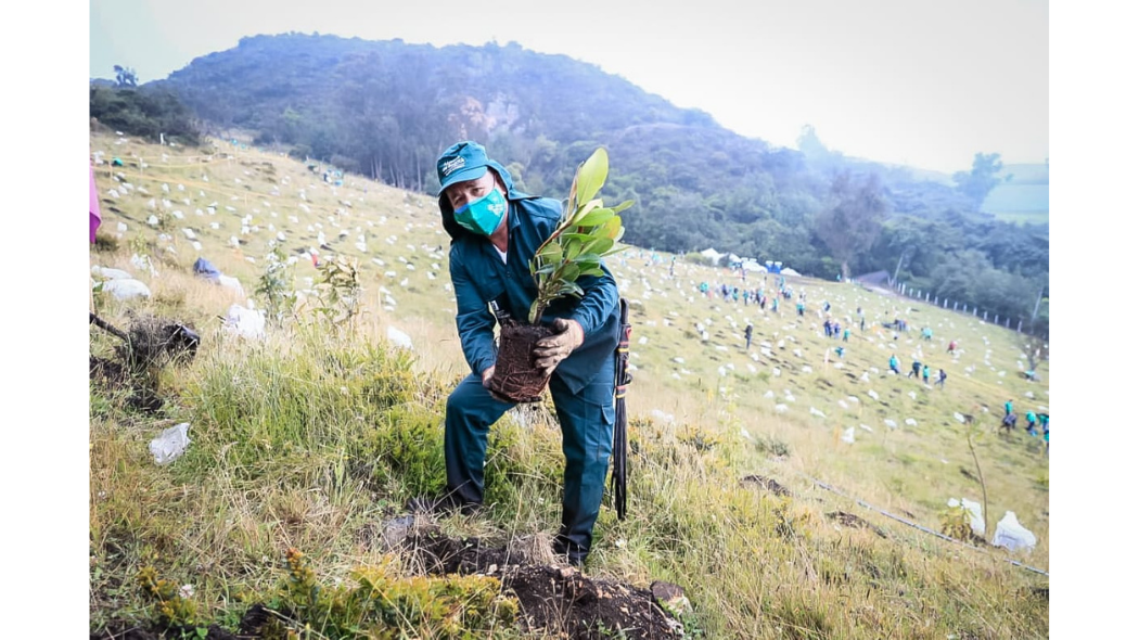 Con siembra de 10 mil árboles inicia estrategia de plantar 5 por cada uno talado