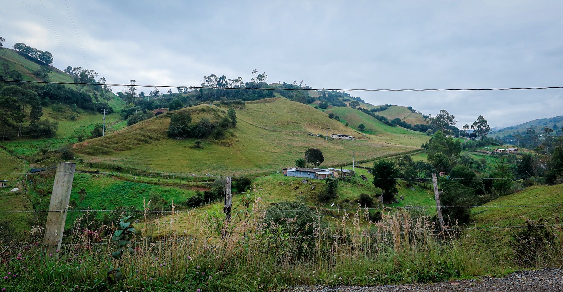 Participa en el concurso mundial de empresas emergentes de turismo rural: Aceleración del desarrollo rural mediante el turismo. Foto: Alcaldía de Bogotá.