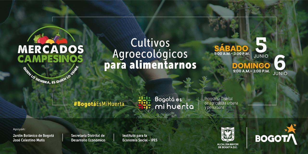 El evento se realizará de 9:00 a. m. a 3:00 p. m en la plazoleta central del Jardín Botánico. Imagen: Jardín Botánico