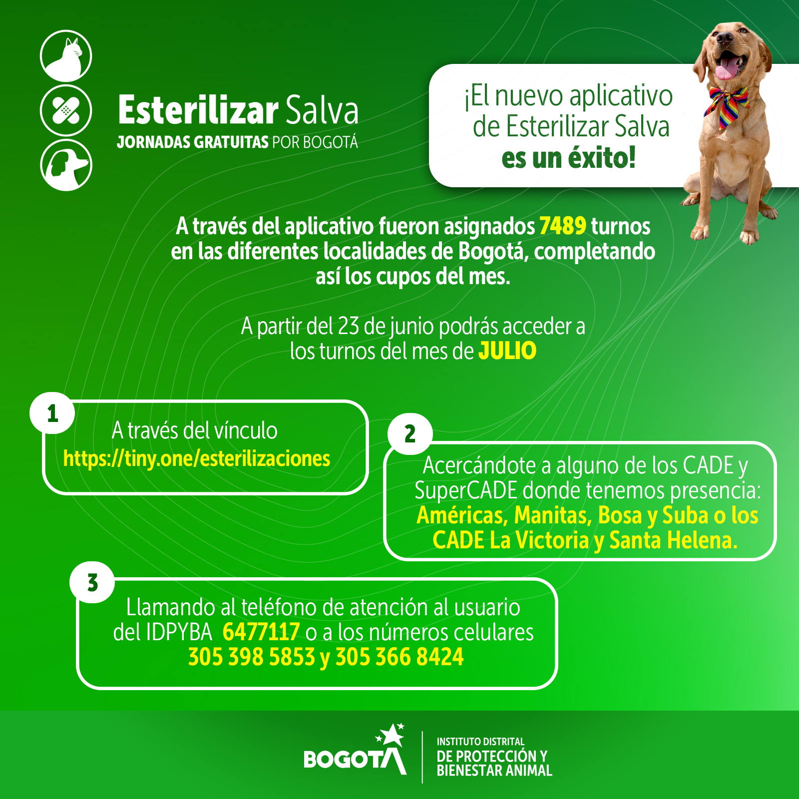 El 23 de junio podrás acceder a los turnos del mes de julio. Pieza: Instituto de Protección Animal.