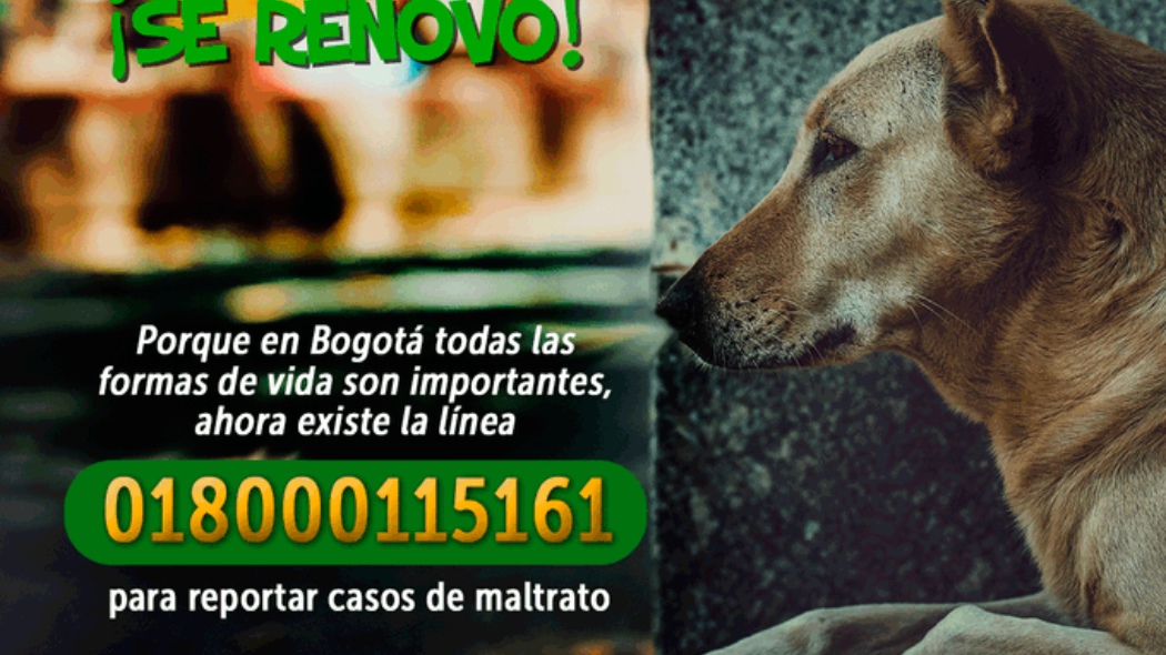 Línea contra el maltrato animal