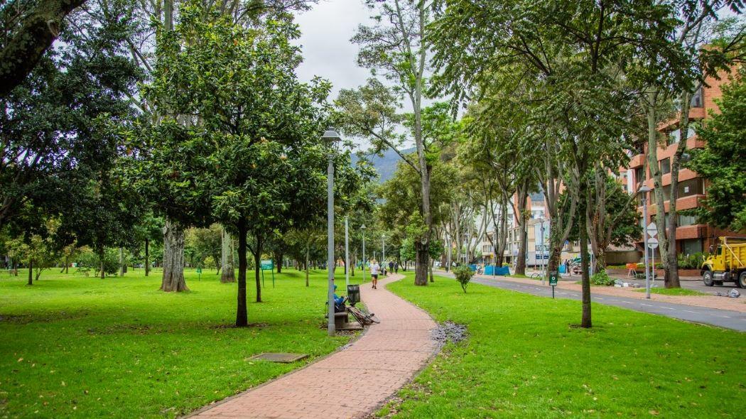 El incremento de esta cifra es un buen indicador en términos ambientales para la ciudad. Foto. Secretaría de Ambiente.