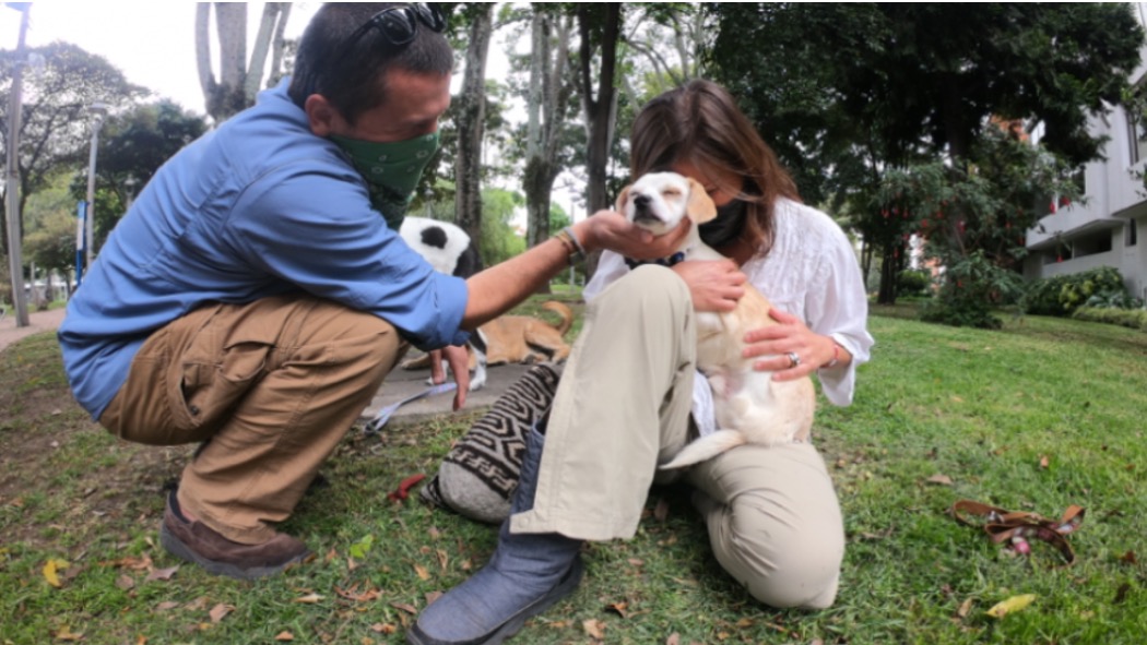 La adopción es un acto de responsabilidad y es importante que no sea una decisión tomada a las carreras. Foto: IDPYBA