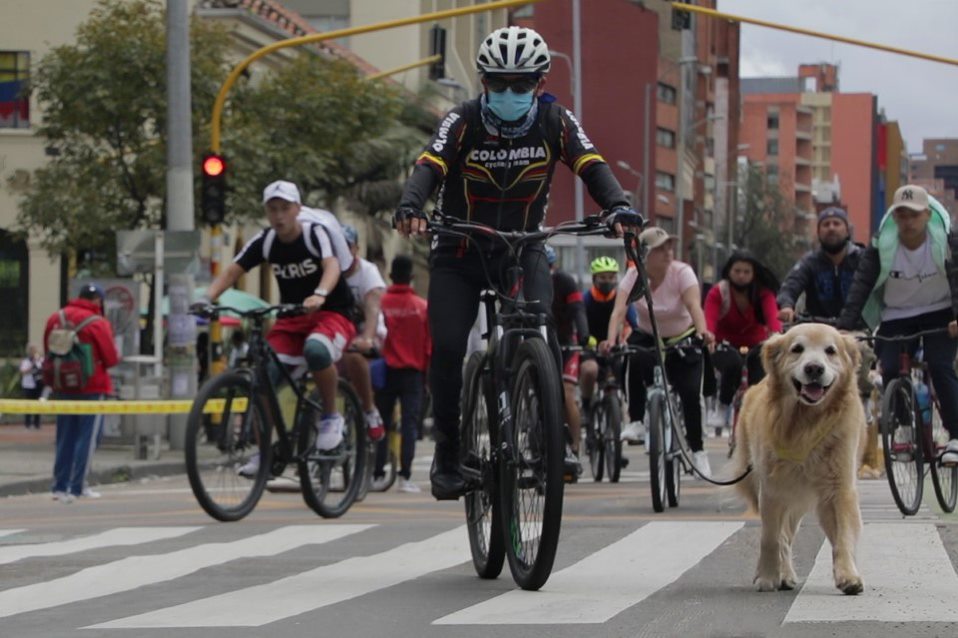 No amarres a tu perro a la bicicleta. Procura que el punto de anclaje sea la mano. Foto: IDPYBA