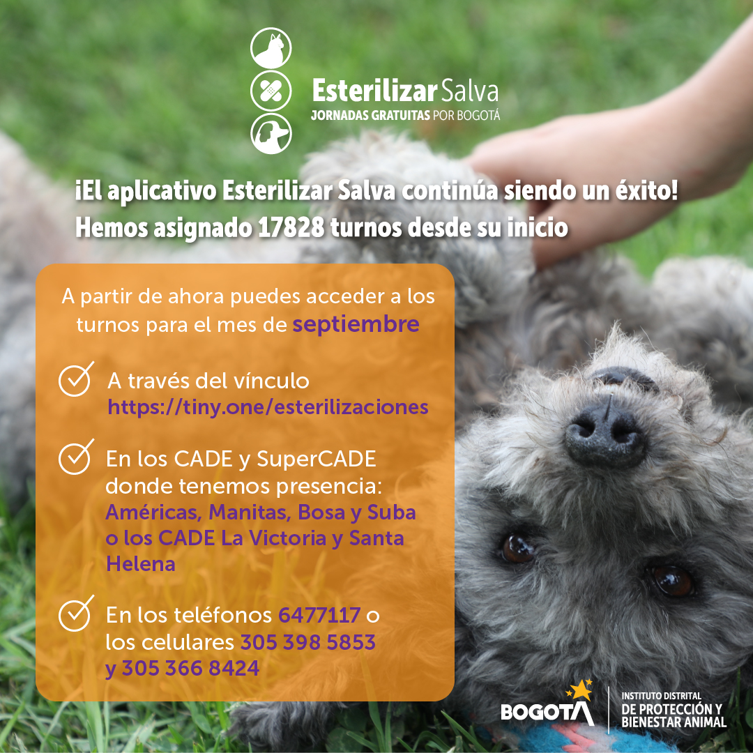 La esterilización de tu mascota es totalmente gratuita. Pieza: IDPYBA