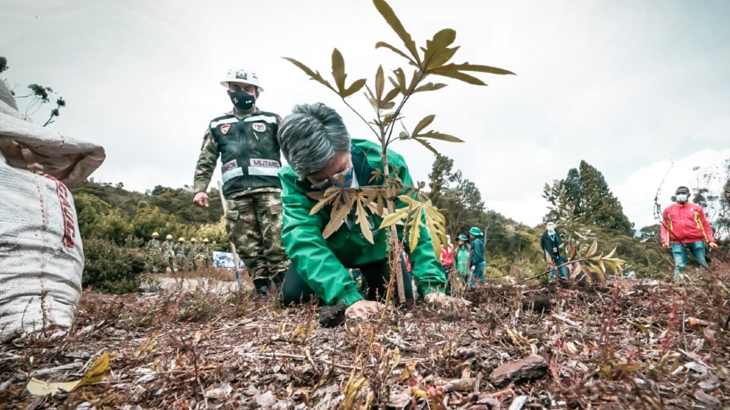 Alcaldesa Claudia López sembró árbol número 100 mil de administración