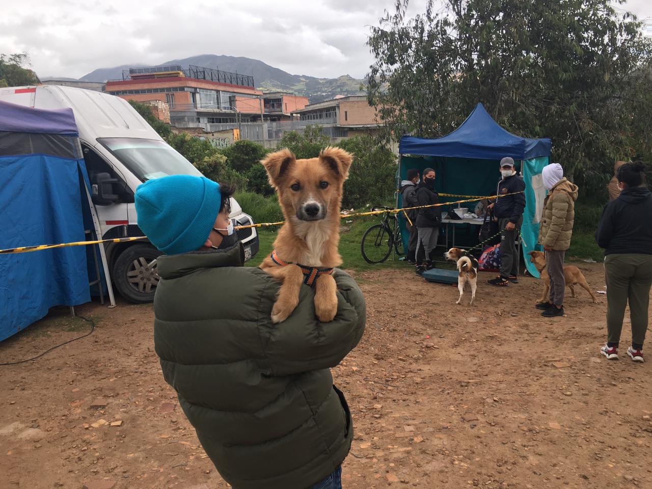 Turnos disponibles para esterilizaciones de animales en octubre