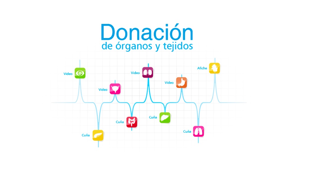 Imagen relacionada con donación de órganos y tejidos