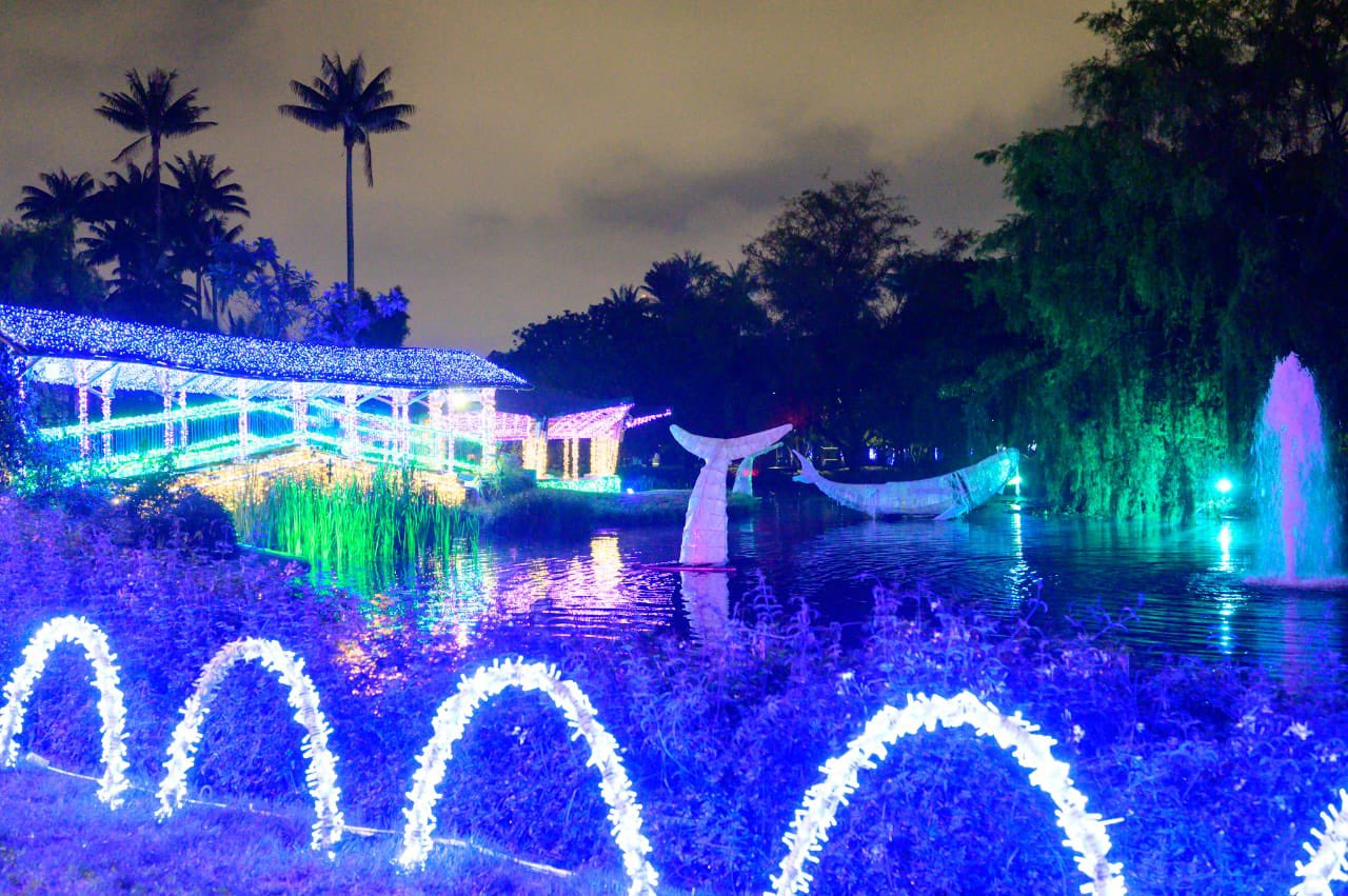 Horarios para el show de luces navideño del Jardín Botánico (foto)