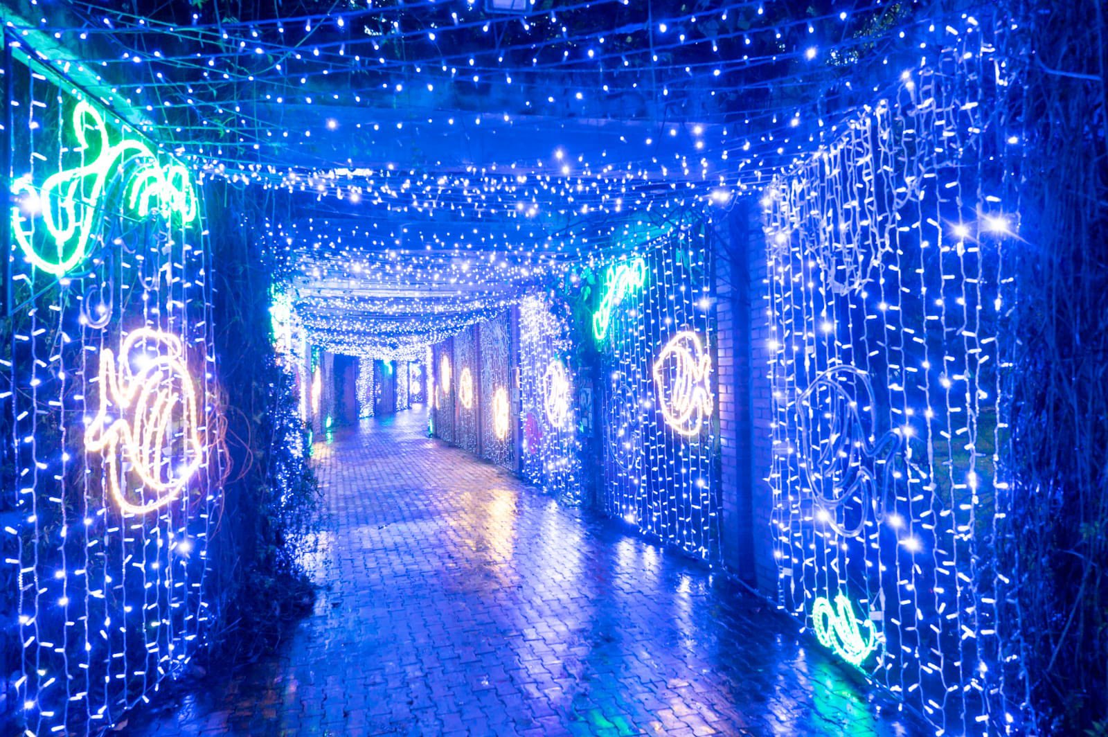 Alumbrado navideño del Jardín Botánico: Se exigirá carné de vacunación