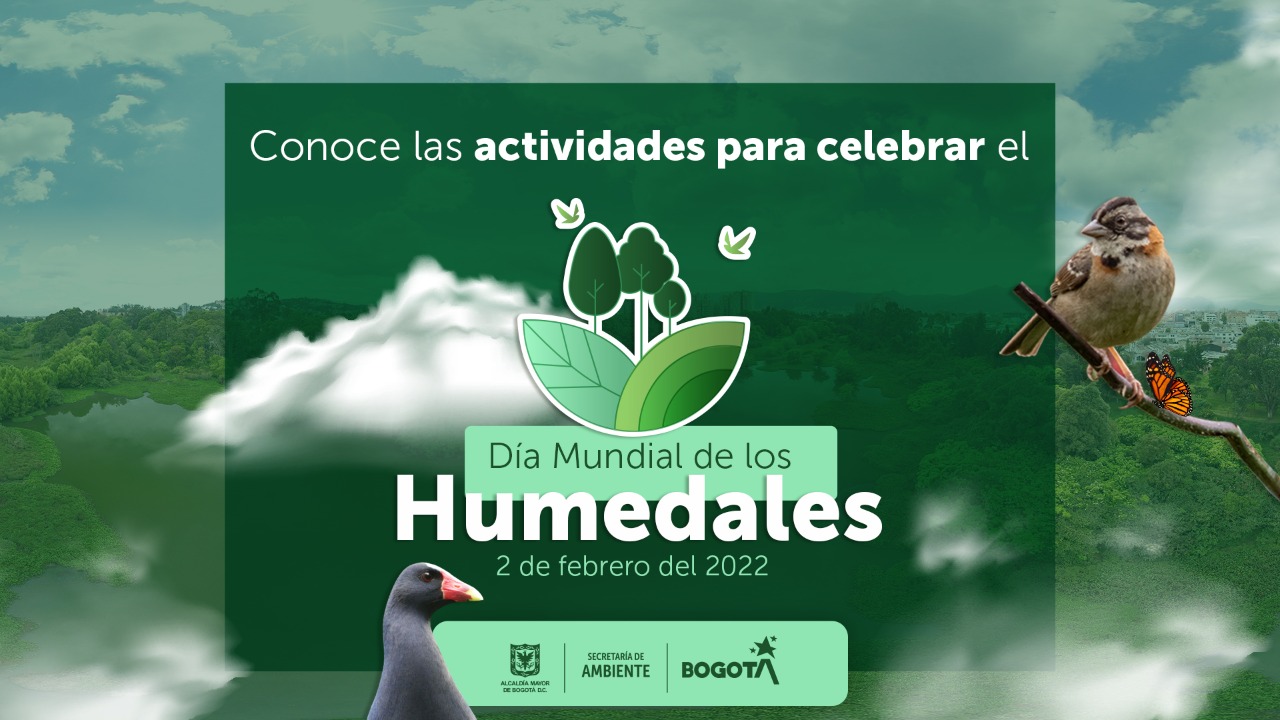 Programación de Día Mundial de los Humedales en Bogotá para este 2022