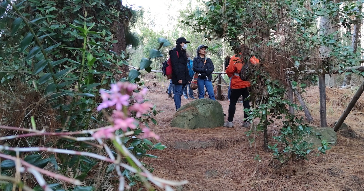 En Bogotá: visita el sendero Santa Ana-La Aguadora en Usaquén 