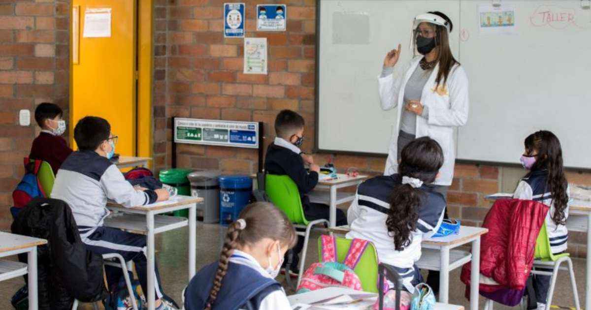 Gestiones de la Sec. de Educación al vincular a docentes provisionales