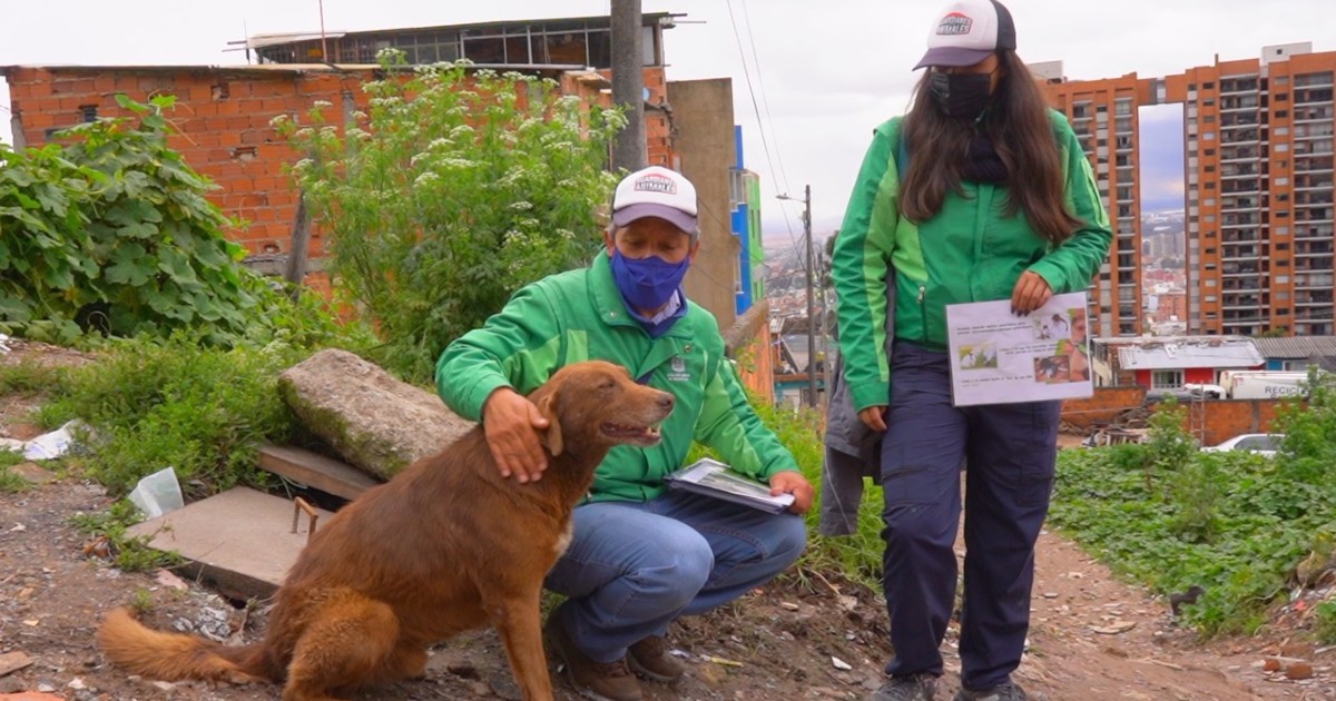 Guardianes de los animales