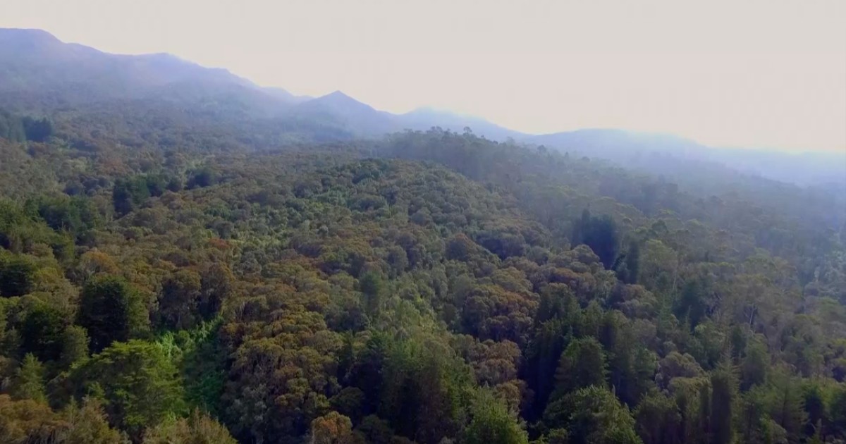 Bogotá y el mundo celebran el Día Internacional de la Tierra 🌎 