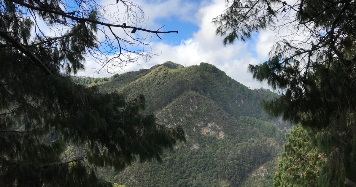 Cronograma de actividades del Día Internacional de la Tierra en Bogotá