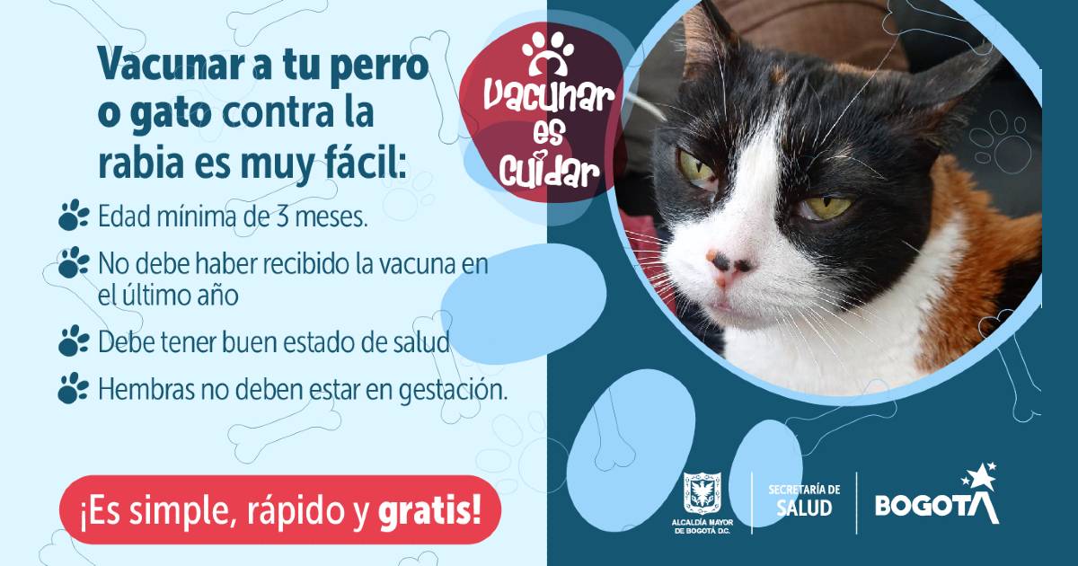 Jornada de vacunación de animales contra la rabia en Puente Aranda