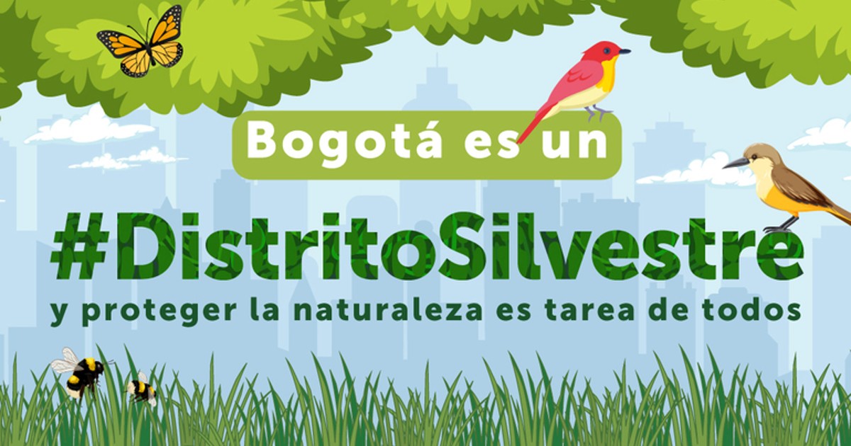 ¿Dónde puedo conseguir información sobre la fauna silvestre? 