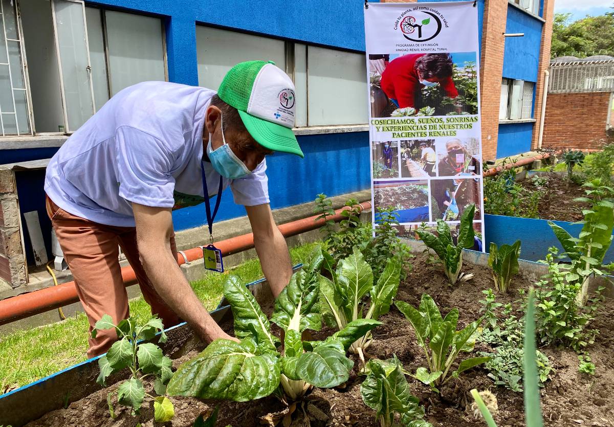 Horticultura para mejorar hábitos alimenticios pacientes renales Tunal