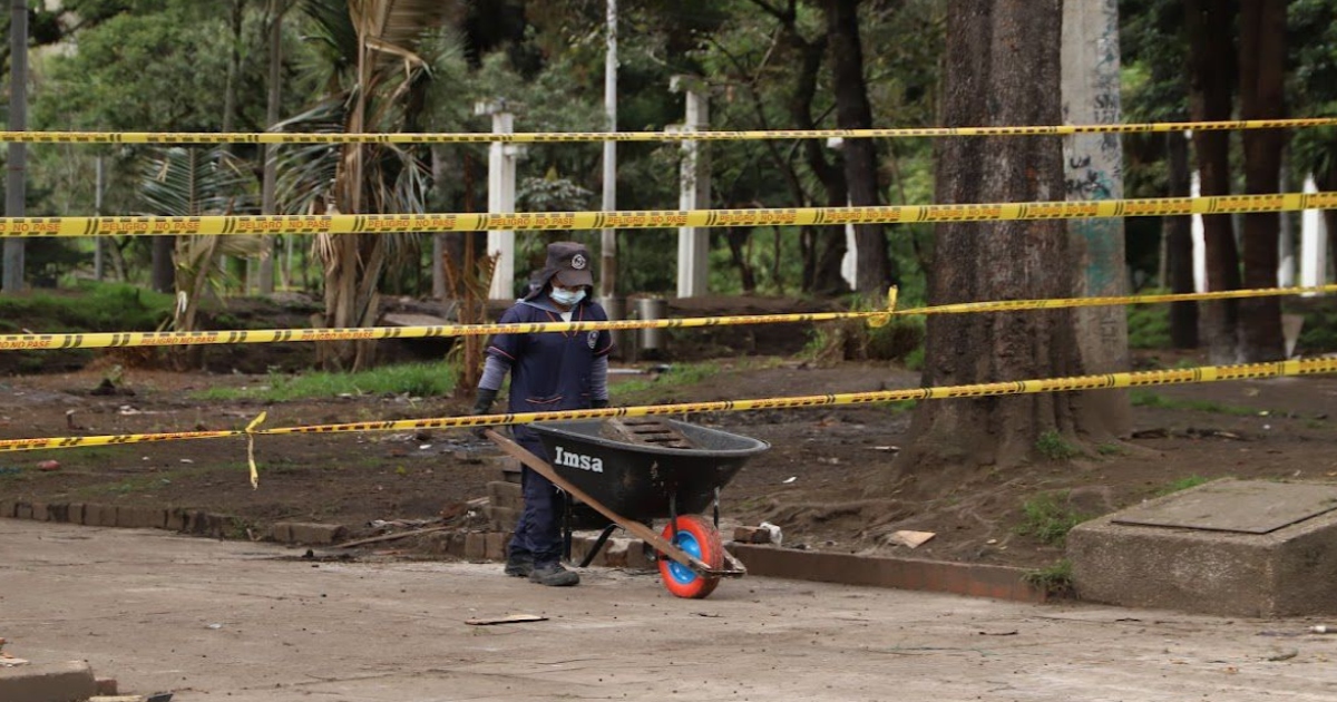 Bogotá: cómo avanza la recuperación y restauración del Parque Nacional