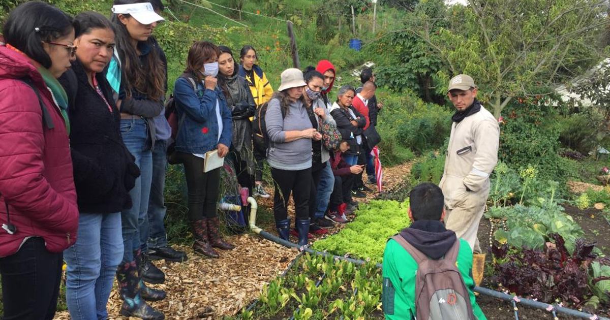 Se gradúan las primeras huerteras y huerteros urbanos de Bogotá 