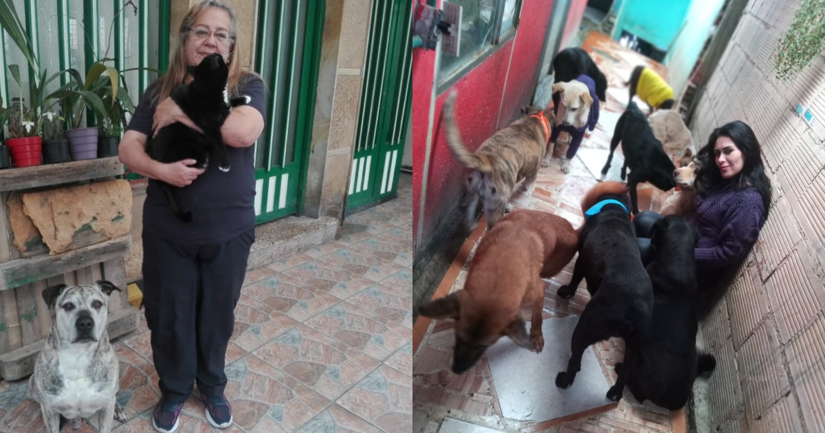 Servicios del Sistema de Cuidado para mujeres cuidadoras de animales