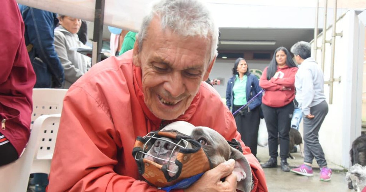 Perros de habitantes de calle fueron atendidos en San Cristóbal 