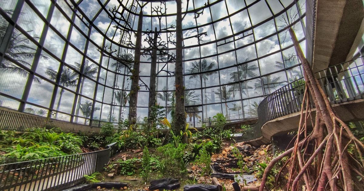 ¿Qué plantas se pueden encontrar en el Jardín Botánico de Bogotá? 🌿