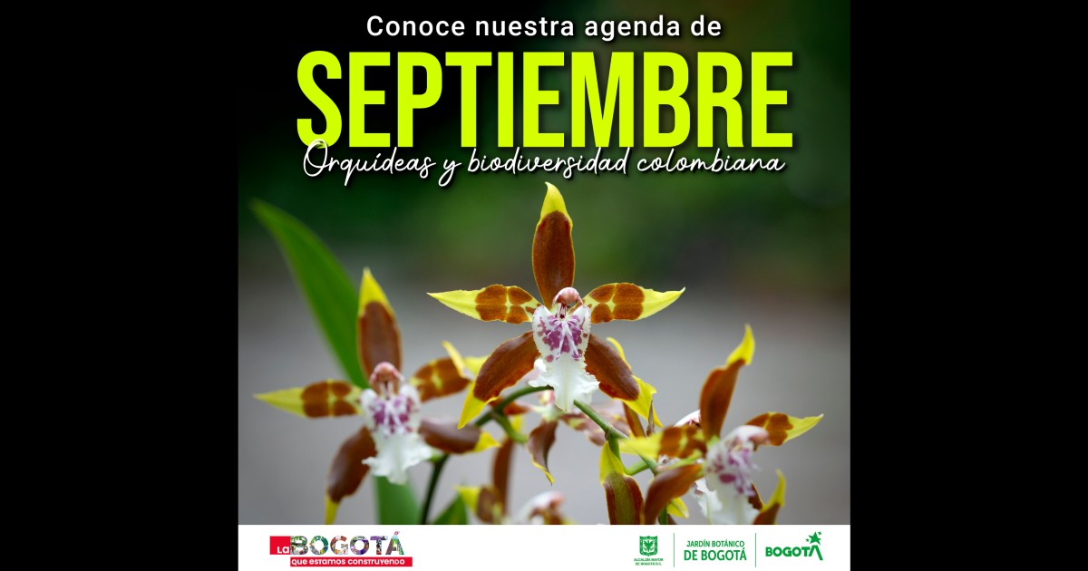 Cronograma de actividades para septiembre en el Jardín Botánico