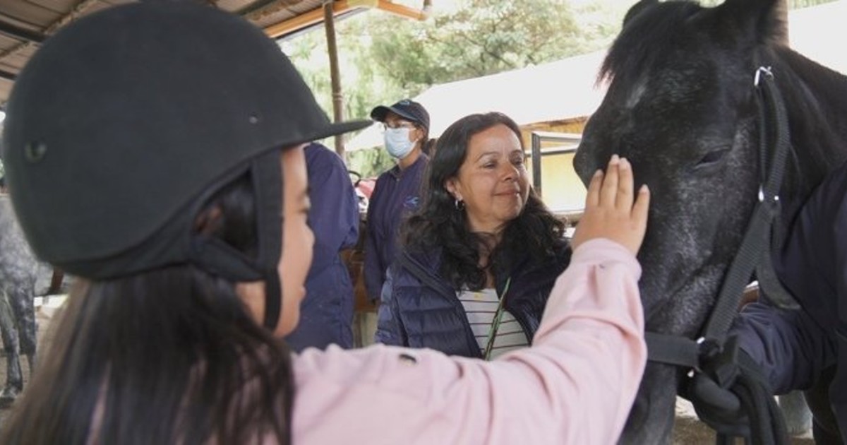 Distrito apoya con hipoterapia a personas con discapacidad en Bogotá