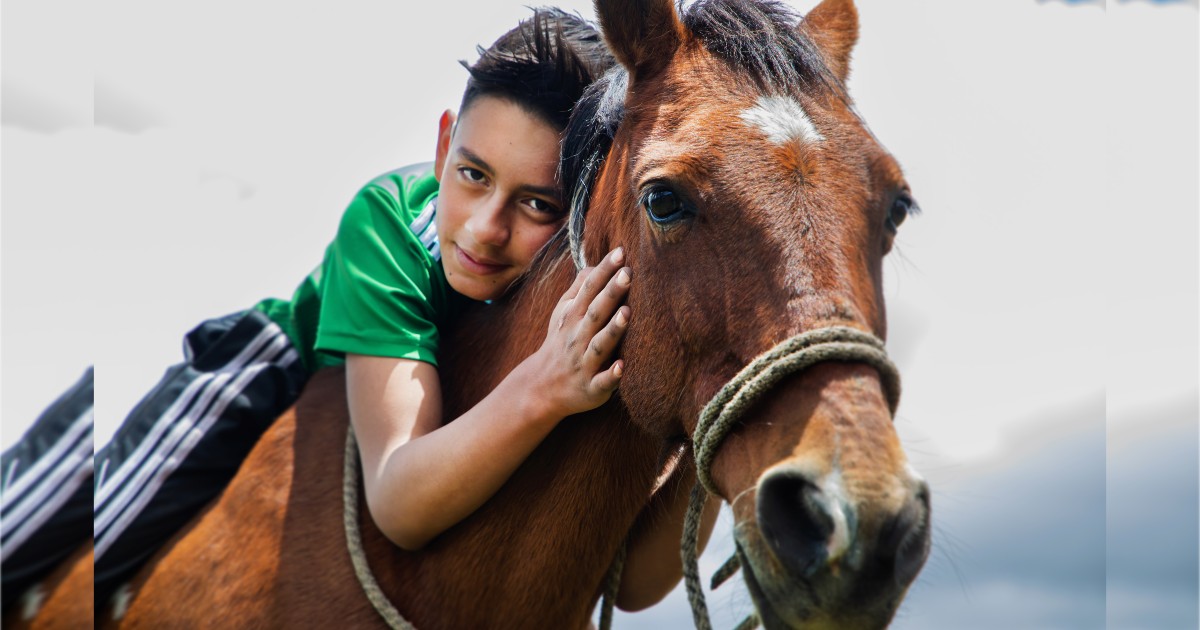 Beneficios de una tenencia responsable en los animales de granja 