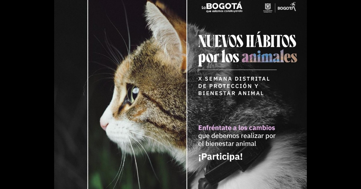 ¿Cuándo comienza la Semana de Protección y Bienestar Animal 2022?